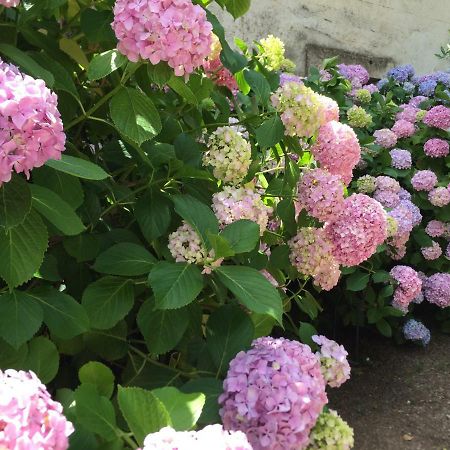 Domaine De Brousson Bed & Breakfast La Tour-sur-Orb Exterior foto