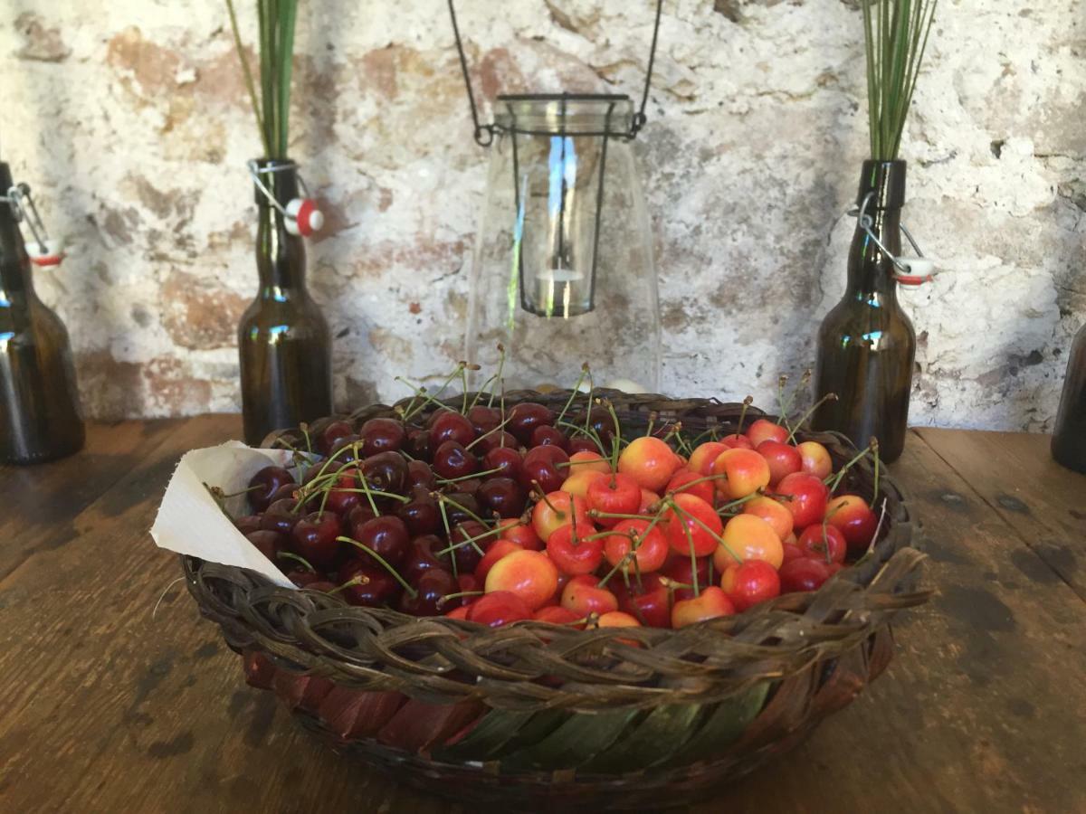 Domaine De Brousson Bed & Breakfast La Tour-sur-Orb Exterior foto