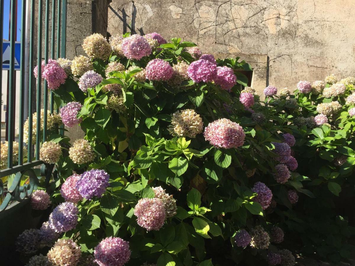 Domaine De Brousson Bed & Breakfast La Tour-sur-Orb Exterior foto